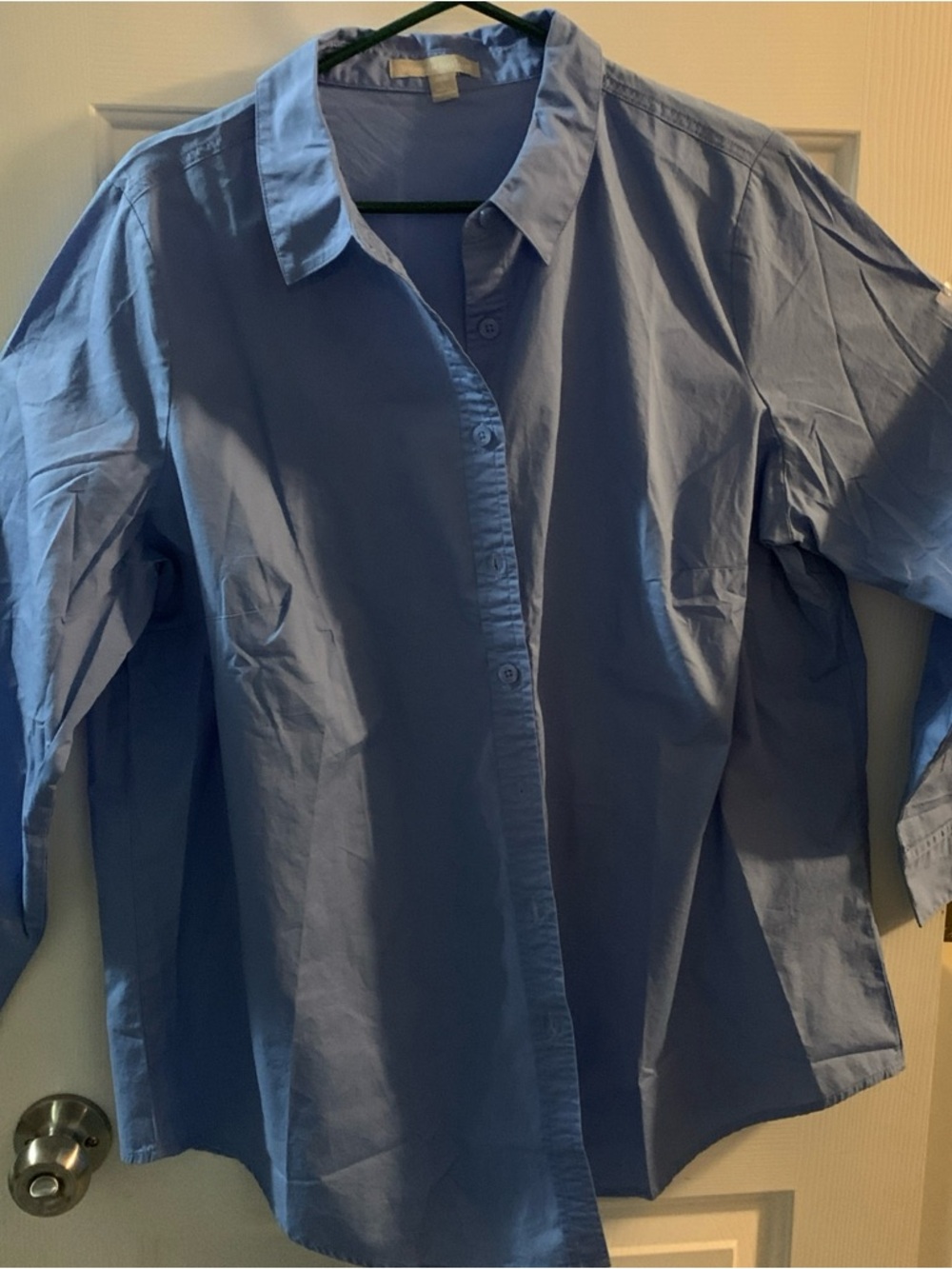 Woman Within Button Down Blouse Shirt Size 18-20 (L) Md. Blue - Work Casual